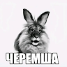 Турик