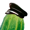 Cucumbus