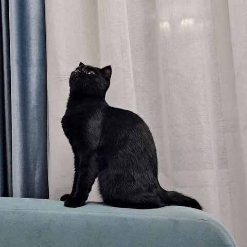 WhatsApp Image 2025-09-23 at 23.47.40.jpeg