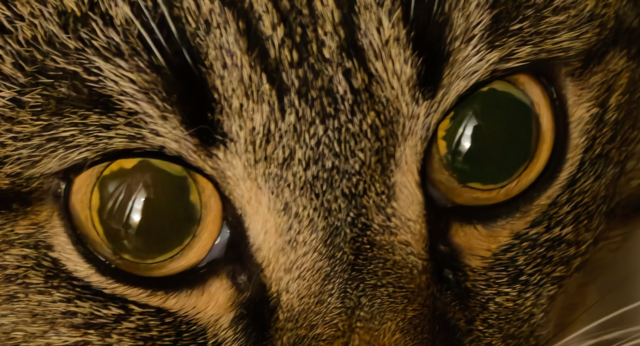 {8EB511A8-B049-464A-BCEE-D356E4D7CC58}.png