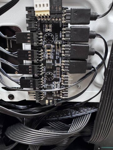 IMG_3632.jpeg.b999a4a354fe09e3244d21f636cb7653.jpeg